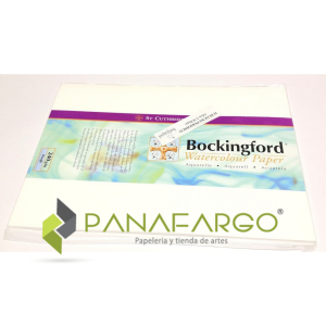 Papel Cartulina Acuarela 1/8 o 1/4 de Pliego 240 gms x10 H Duopapel
