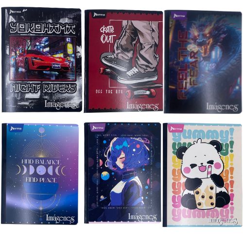 cuadernos cosidos economicos linea corriente, 100 hojas
