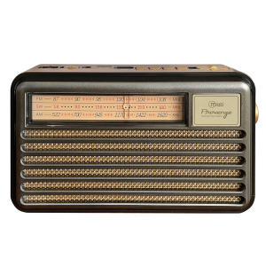 Radio Portatil Bluetooth Microlab Provenze Fm Usb Modelo 9141 Negro